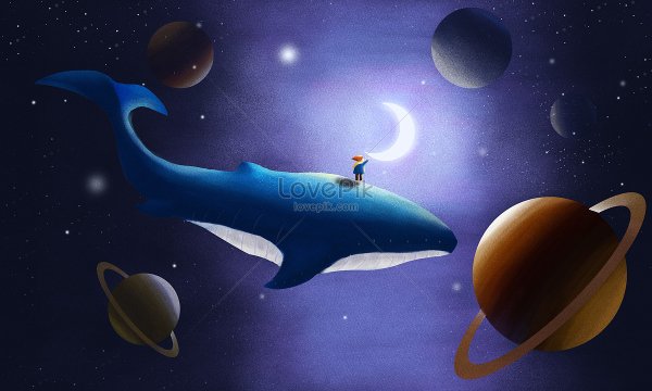 Мультик кит мечтамуд КИД мечта варехове