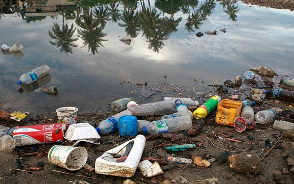 Экология загрязнение окружающей среды