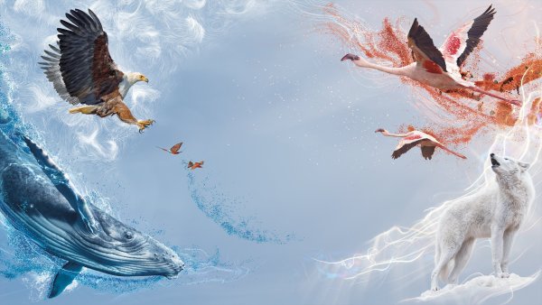 Идеальная Планета bbc 2021