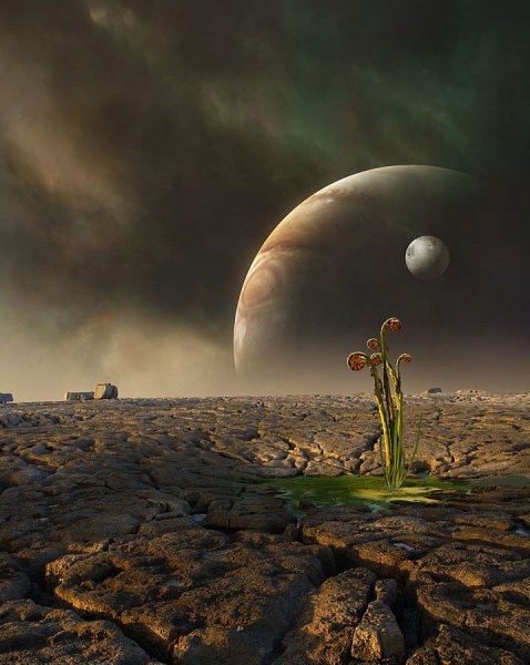 Жизнь на других планетах