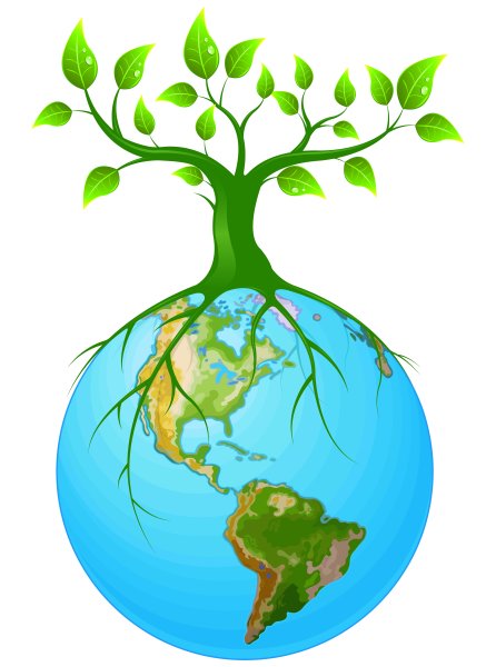 Деревья легкие планеты