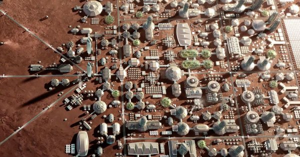 Илон Маск 2050 год