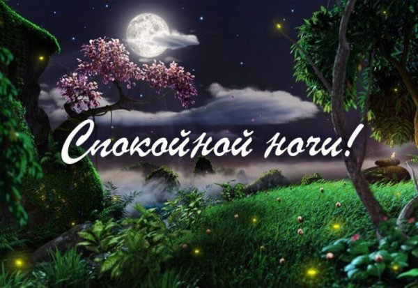Доброй летней ночи