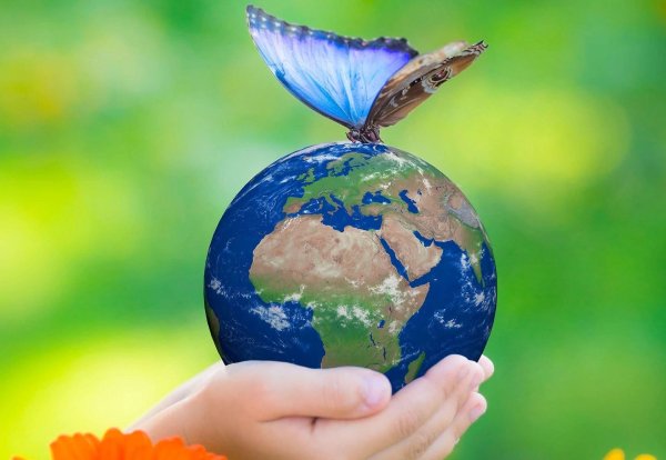 Сохраним планету вместе