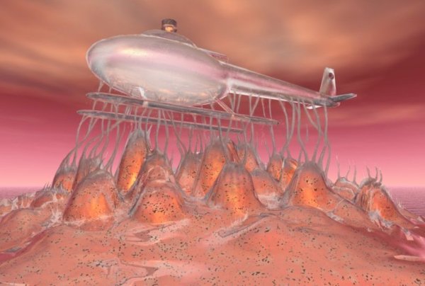 Симметриада Солярис