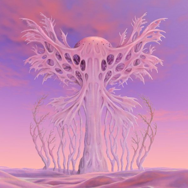 Солярис Лем симметриады