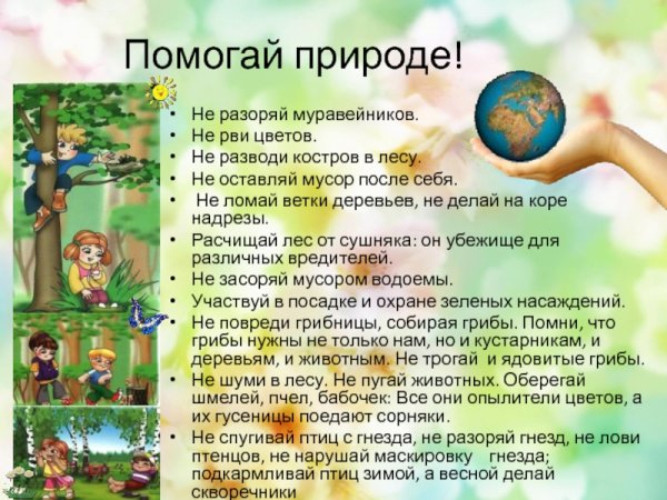 Как помочь природе
