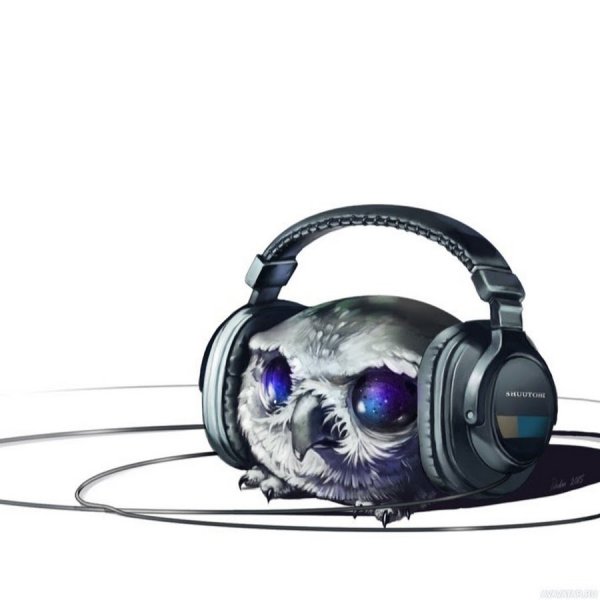 Кот в наушниках арт