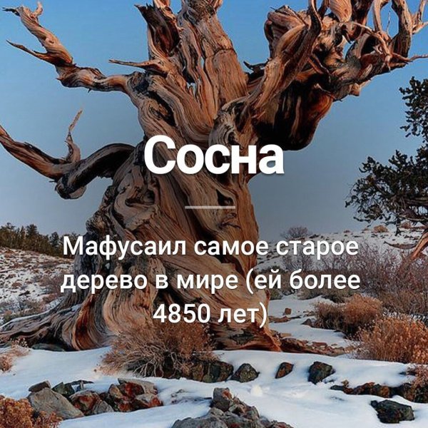 Звезда Мафусаил старше Вселенной