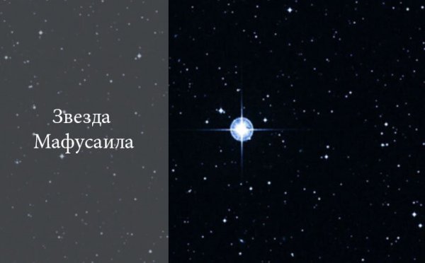 Весы (Созвездие) Мафусаил