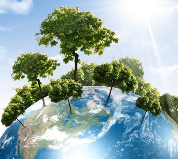 Озеленение планеты
