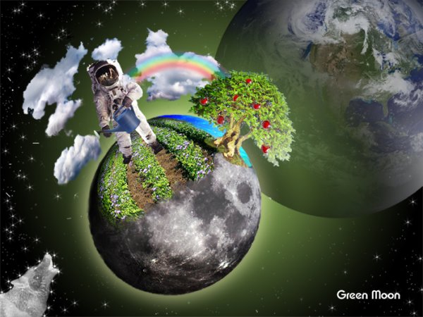 Зеленая Планета 2021