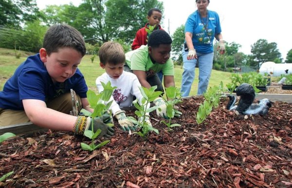 Школьники и экология