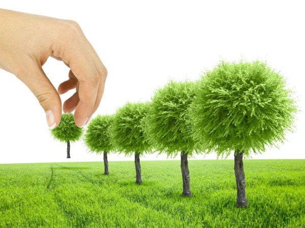 Озеленение экология