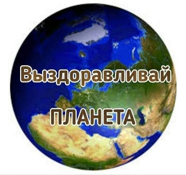 Выздоравливай Планета