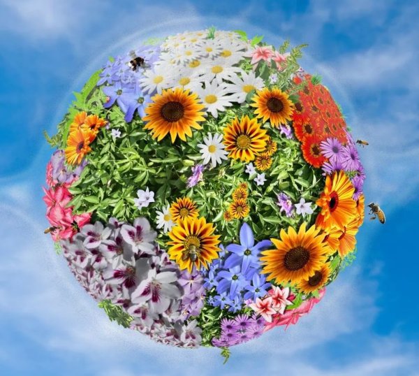 Международный день цветка