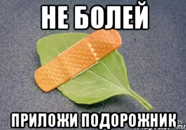 Подорожник не болей