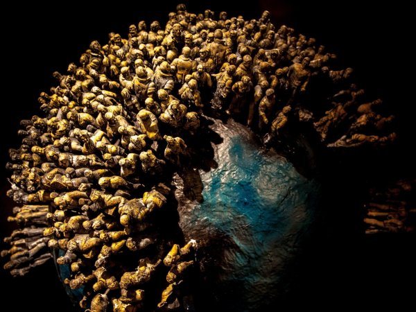 Перенаселенность планеты