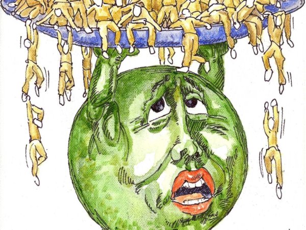 Демографическое перенаселение