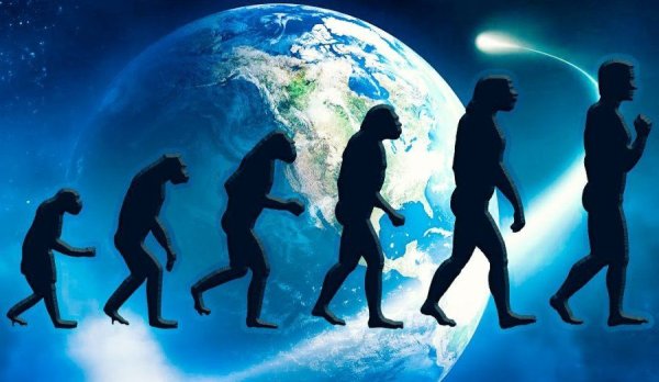 Происхождение человека