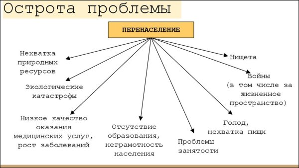 Проблема перенаселения