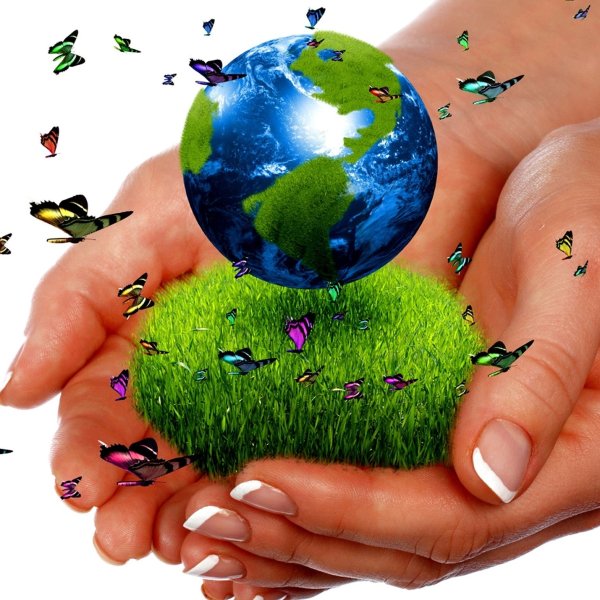 Конвенция о биологическом разнообразии