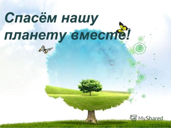Шаблон экология