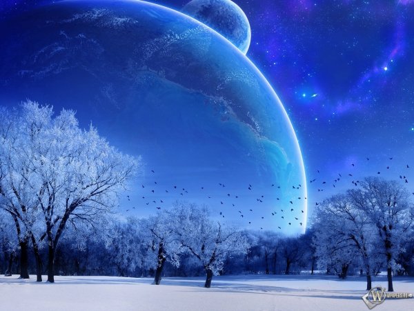 Обои на телефон зима небо