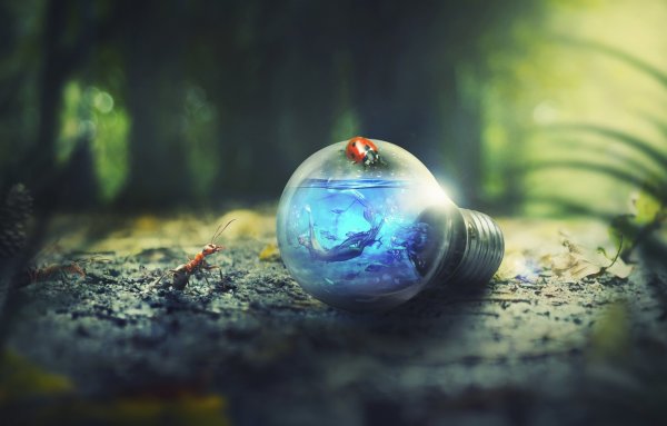 Фэнтези природа