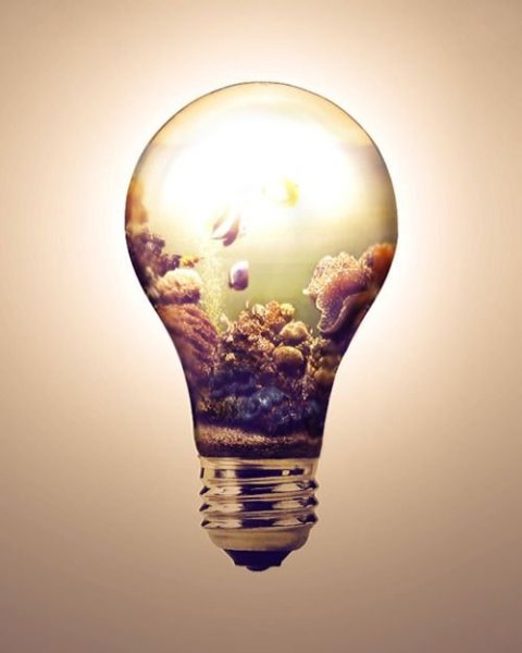 Лампочка арт