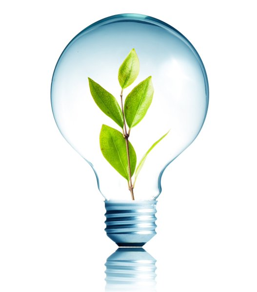 Экологичная лампочка