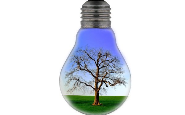 Пейзаж в лампочке