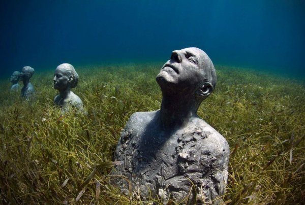 Подводный парк скульптур Джейсона Тейлора