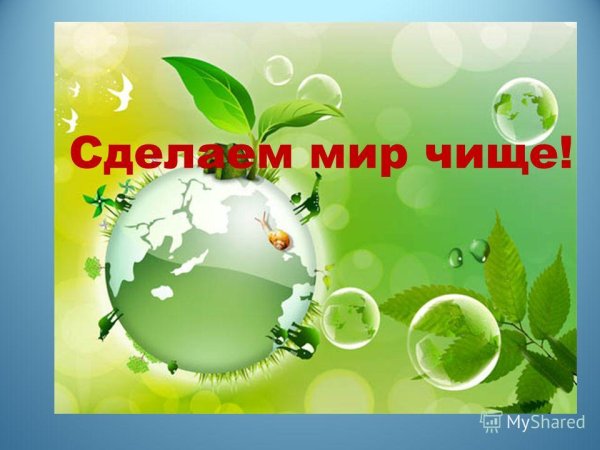 Сделаем мир чище акция
