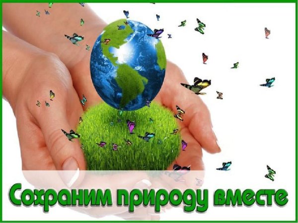Сохраним природу вместе