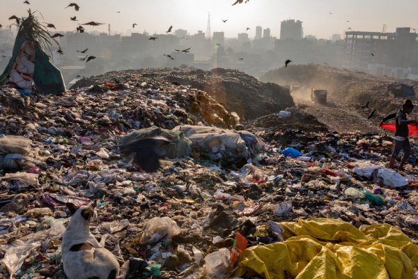 Египет мусорный полигон