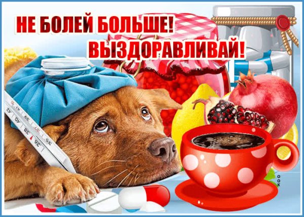 Не болей выздоравливай скорее