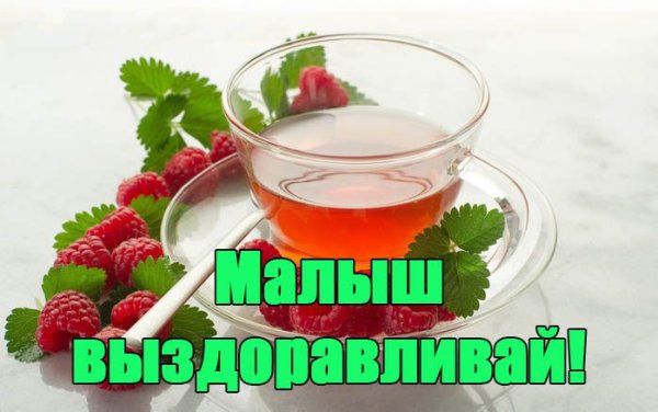 Цветы для выздоровления