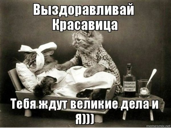 Выздоравливай тебя ждут Великие дела и я