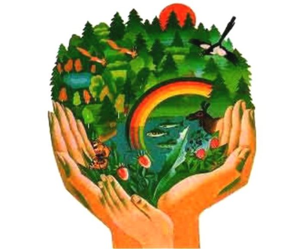 Охрана природы