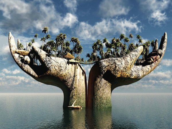 Удивительный мир природы