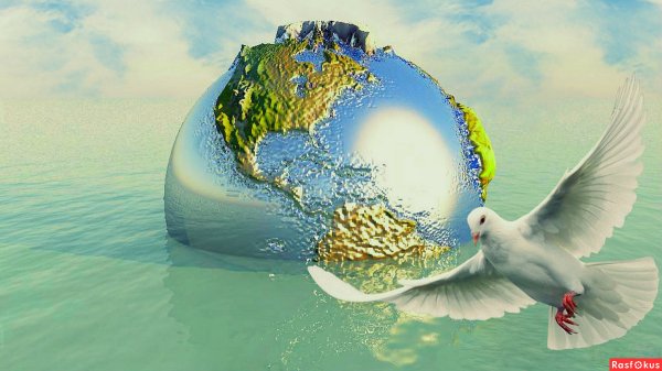 Голубь мира