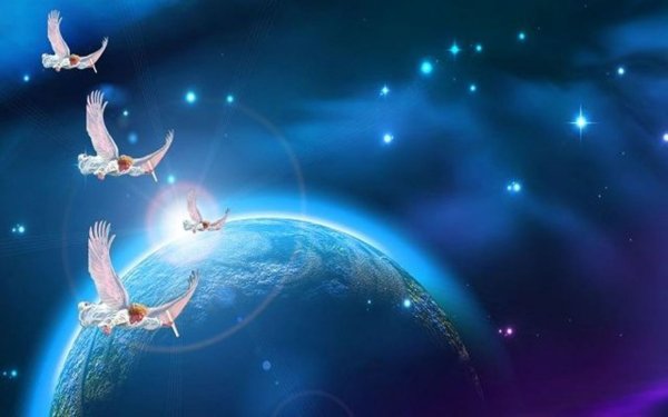 Птица над планетой