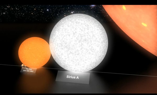 Сириус звезда