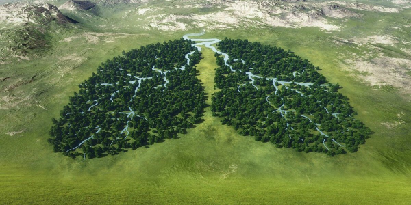 Легкие земли