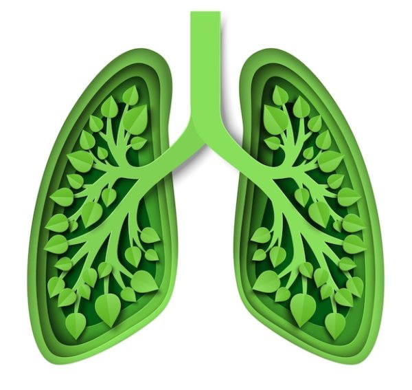 Зеленые легкие