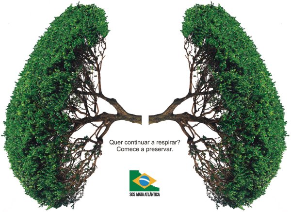 Деревья легкие планеты