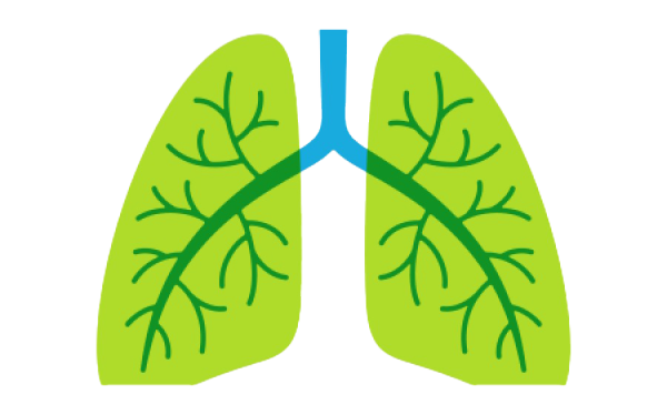 Зеленые легкие