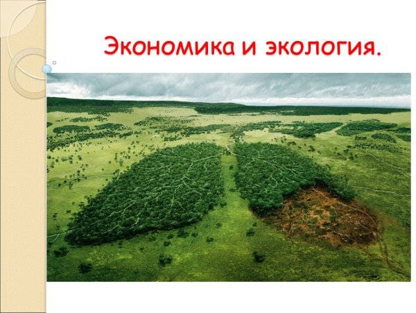 Растения легкие планеты