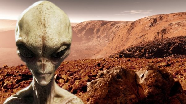 Марсиане на земле